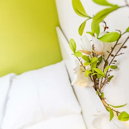 Apartment Work & Dd *